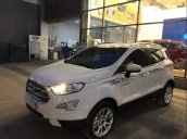 Bán xe Ford EcoSport đời 2019, màu trắng, nhập khẩu