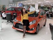 Cần bán xe Toyota Wigo 1.2MT đời 2019, nhập khẩu, giao nhanh toàn quốc