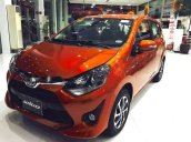 Cần bán xe Toyota Wigo 1.2MT đời 2019, nhập khẩu, giao nhanh toàn quốc