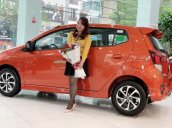 Cần bán xe Toyota Wigo 1.2MT đời 2019, nhập khẩu, giao nhanh toàn quốc