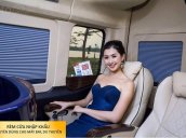 Cần bán xe Hyundai Solati Limousine năm 2019, màu đen