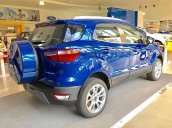 Cần bán xe Ford EcoSport 1.0l năm sản xuất 2019, màu xanh lam, 669tr