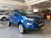 Cần bán xe Ford EcoSport 1.0l năm sản xuất 2019, màu xanh lam, 669tr