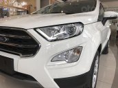 Bán ô tô Ford EcoSport 1.5AT Titanium 2019, màu trắng, giao ngay - LH 0982.88.77.61