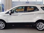 Bán ô tô Ford EcoSport đời 2019, màu trắng, nhập khẩu nguyên chiếc, 520 triệu