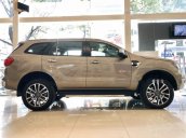 Bán Ford Everest sản xuất 2019, nhập khẩu