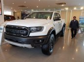 Cần bán xe Ford Ranger sản xuất 2019, xe nhập