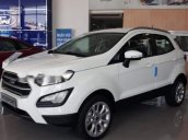 Cần bán Ford EcoSport sản xuất năm 2019, màu trắng giá cạnh tranh