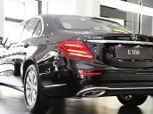 Cần bán Mercedes E200 đời 2018, màu đen