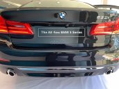 Bán xe BMW 5 Series 530i Luxury năm 2019, màu đen, xe nhập