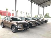 Bán xe Hyundai Kona sản xuất 2019, giá chỉ 685 triệu