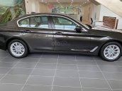 Bán BMW 5 Series 520i đời 2019, màu nâu, mới 100%