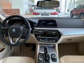 Bán BMW 5 Series 520i đời 2019, màu nâu, mới 100%