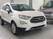 Cần bán Ford EcoSport năm 2019, màu trắng