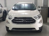 Cần bán Ford EcoSport năm 2019, màu trắng