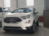 Cần bán Ford EcoSport năm 2019, màu trắng