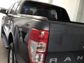 Bán xe Ford Ranger sản xuất năm 2017, màu xám, nhập khẩu, giá chỉ 560 triệu