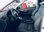 Bán xe Honda CR V năm 2019, màu trắng, nhập khẩu