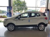 Bán ô tô Ford EcoSport đời 2019, màu trắng