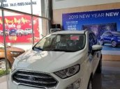 Bán ô tô Ford EcoSport đời 2019, màu trắng