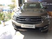 Bán Ford Everest năm 2018 màu vàng, 1 tỷ 035 triệu nhập khẩu