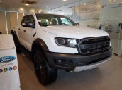 Bán xe Ford Ranger sản xuất năm 2019, nhập khẩu