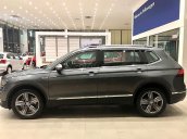 Bán Volkswagen Tiguan đời 2018, nhập khẩu, mới 100%