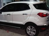 Cần bán xe Ford EcoSport sản xuất 2015, màu trắng, nhập khẩu còn mới