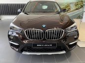 Bán ô tô BMW X1 năm sản xuất 2019, màu nâu, nhập khẩu nguyên chiếc