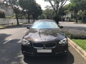 Bán ô tô BMW 520i sản xuất 2016, màu nâu, nhập khẩu nguyên chiếc