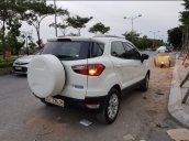 Bán xe Ford EcoSport Titanium 2016, màu trắng, nhập khẩu