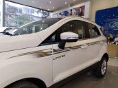 Cần bán xe Ford EcoSport sản xuất 2019, màu trắng