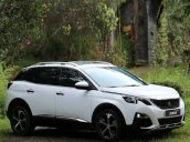 Peugeot 3008, có xe giao ngay, hỗ trợ vay tối đa, giá cả ưu đãi