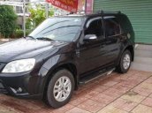 Cần bán Ford Escape sản xuất 2010, màu đen, nhập khẩu, giá 450tr