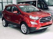 Bán ô tô Ford EcoSport 2019, nhiều ưu đãi và quà tặng hấp dẫn