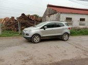 Bán Ford EcoSport năm 2014, màu bạc, nhập khẩu  