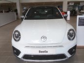 Xe hơi thể thao Volkswagen - Beetle