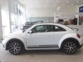 Xe hơi thể thao Volkswagen - Beetle