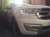 Bán gấp Ford Everest năm 2017, màu trắng, nhập khẩu như mới