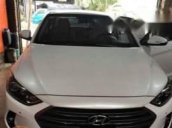 Bán Hyundai Elantra năm 2017, màu trắng, xe gia đình