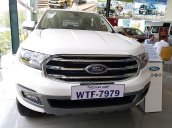 Cần bán xe Ford Everest năm 2019, xe nhập