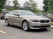 Cần bán xe BMW 5 Series 530i Luxury Line đời 2019, xe nhập