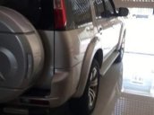 Bán ô tô Ford Everest đời 2010, màu vàng, xe nhập