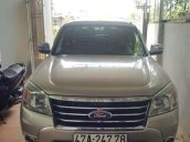 Cần bán Ford Everest sản xuất 2009, màu vàng cát