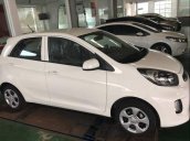 Bán xe Kia Morning EX 2019, giá tốt