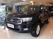 Bán Ford Everest 2019, màu đen, nhập khẩu