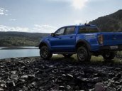 Bán Ford Ranger sản xuất năm 2019, nhập khẩu, 500 triệu