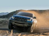 Bán Ford Ranger sản xuất năm 2019, nhập khẩu, 500 triệu