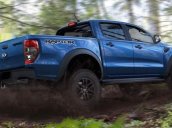 Bán Ford Ranger sản xuất năm 2019, nhập khẩu, 500 triệu