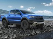 Bán Ford Ranger sản xuất năm 2019, nhập khẩu, 500 triệu